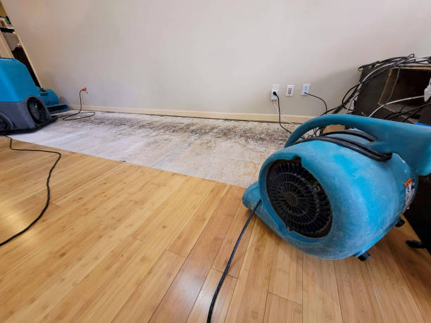 Professional Water Damage Repair technician working in Washington, IA